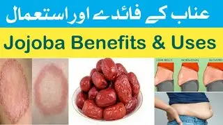 Unaab ke Faide Or Sahi Istimal | Benefits Of Jojoba And Uses