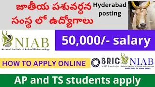 NIAB HYDERABAD Recruitment apply process 2026|NIAB central gov jobs |latest jobs in telugu