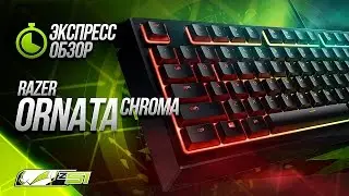 Коротко о главном #4 Razer Ornata Chroma!