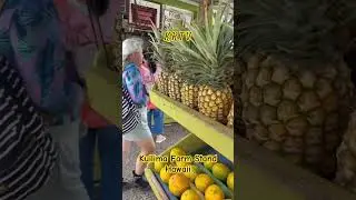 Hawaii Tour: Kuilima Farm Stand