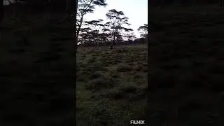 NAIVASHA | TRAVEL VLOG ( SUNSET EDITION)  Featuring Lake Naivasha & Naivasha National Park