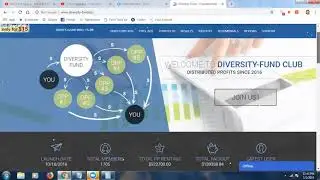Diversity Fund Club - How The Platform Works And How To Make Withdrawals 2019