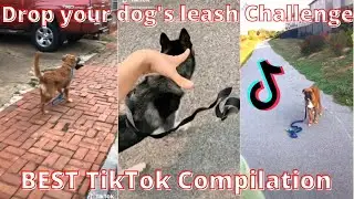 Drop your dog's leash Challenge 🐶🐕| BEST TikTok Compilation