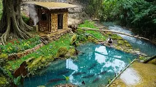 Full Video: Building a Bushcraft Farm by a Forest Stream | Mud & Wood House, Fish Pon