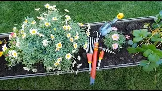 Take a Closer Look at a Range of WOLF-Garten Tools