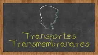 transportes transmembranares