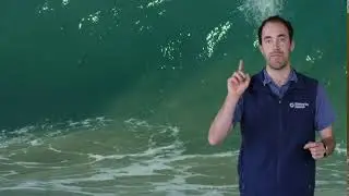 Fast Ocean Facts &mdash; Marine Bacteria