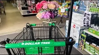 NEW Dollar Tree Shop With Me | Summer Preview, Food & Kids Play Sets | Shopping Vlog