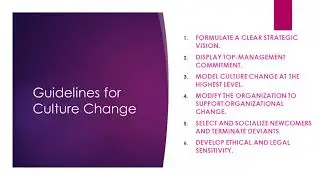 Culture in Organization, Multiculturalism and Gender Issues