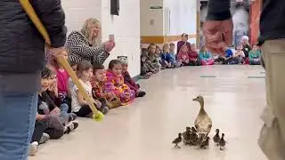 Prairie Mountain Duck Walk 2023!
