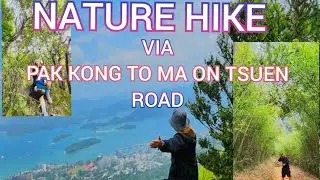 MA ON SHAN CAMPSITE | PAK KONG TO MA ON SHAN TSUEN RD #travel #nature #perantau #JKZ