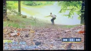 Hill bomb diggity