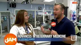 How the Vet Specialty Center is helping in a big way!