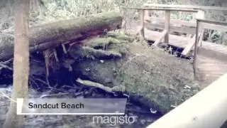 Sandcut Beach