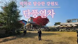 [홍천] 단풍 브이로그 | 가을 단풍은 역시 강원도 🍂🍁