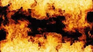 feed the fire starve the light -letters never sent