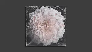 Gloveity - Honey Syrup (Official Audio)