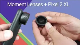 Moment Lenses - Must have phone lenses?!