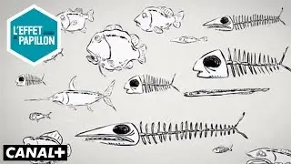 Demain les poissons auront-ils tous disparu ?- Le Chiffroscope