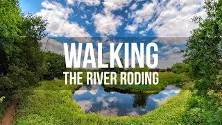 Walking The River Roding Valley Way
