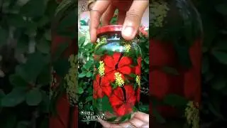 DIY bottle painting.. [ Arika Mehendi ] #reels #bottle #diy #painting #youtubeshorts #short #artist