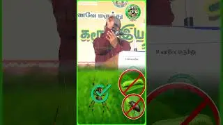 🌱 இயற்கை விவசாயம் தான் உண்மையான பூச்சி கட்டுப்பாடு! 🐞 | Tamil Organic Farming Tips