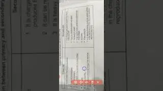 comparison between primary and secondary cells