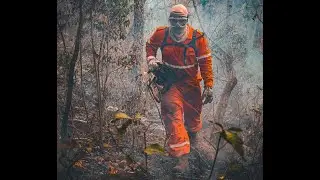 Os desafios do fogo no Pantanal - Serra do Amolar