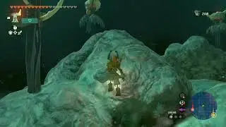 So-Oaw Lightroot, Hebra Mountains Depths | The Legend of Zelda: Tears of the Kingdom