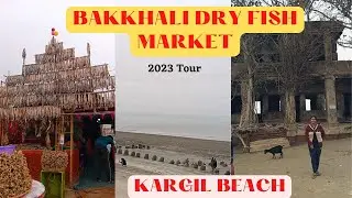 Bakkhali Dry Fish Market || Faserganj || Kargil beach || EP -2