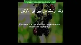 Коран Сура Аз Зухруф | 43:6  | Чтение Корана с русским переводом| Quran Translation in Russian