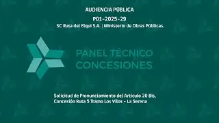 Audiencia pública P01-2025-29