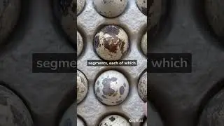 Image Processing - What is Image Segmentation?