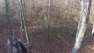 .357 Magnum rifle deer hunt, the brown is down part1