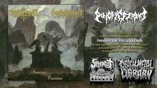 Dungeon Serpent - Immortal Incubation (from new split 2025)