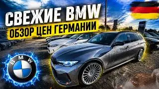 ОБЗОР ЦЕН НА BMW В ГЕРМАНИИ 2026 🇩🇪🇩🇪🇩🇪🇩🇪🇩🇪🇩🇪🇩🇪🇩🇪🚘💥