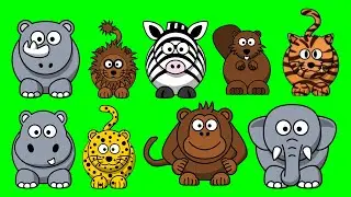 Wild animals: Bear, zebra, hyenas, beaver, leopards - Animals