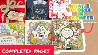 🌲 Completed pages for December 2025🌲
