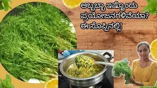 Fresh & Flavorful Dill Leaves Sabzi- Aromatic & Healthy! Health benefits @Renitaslifestyle 
