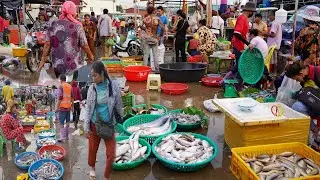 Cambodian Fish Market Video - Amazing Site Distribute Fish, Dry Fish & Seafood in Phnom Penh City