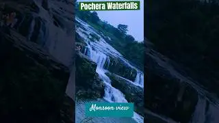 Pochera Waterfalls | Adilabad | #waterfalls #nature #forest #animals #youtubeshorts #trending #field