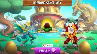 NEW BREEDING : High Typhoon Dragon And High Fighter Dragon | DRAGON CITY