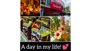 A Day In My Life! 🧬💟