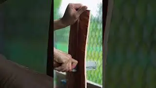 Quy Tr&igrave;nh Sơ Chế Quế Nhục - Sản Xuất Bột Quế cao Cấp thượng Hạng