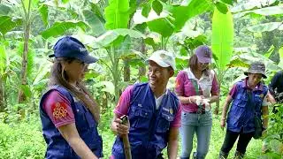Rotary International D3780 Bamboo Reforestation Project -  Pol Castillo
