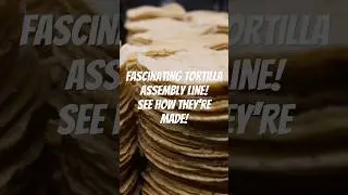 100-Year-Old Machine Makes the Best Tortillas!
