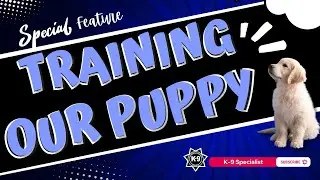 Special Feature: Training Our Puppy for Protection & Obedience | K-9 Specialist