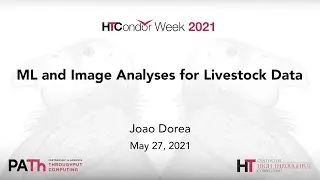 ML and Image Analyses for Livestock Data