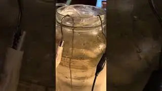 Making Colloidal Silver