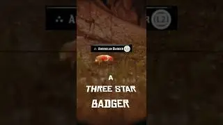 У Траппера постоянно появляется барсук возле стенда Риггса в Red Dead Redemption 2.